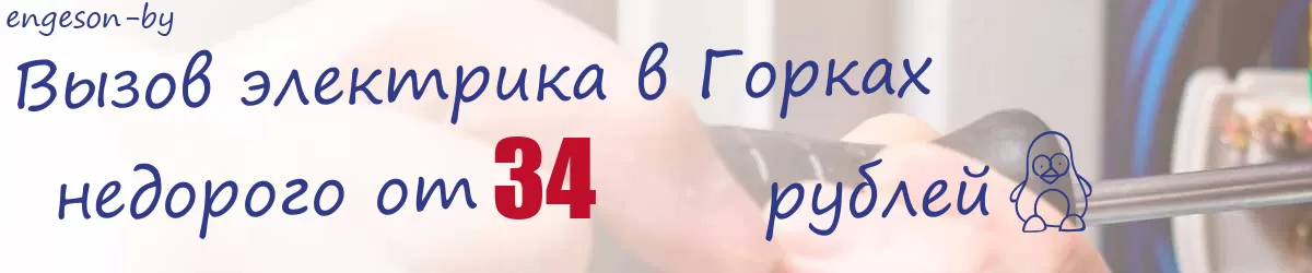 Электрик в Горках